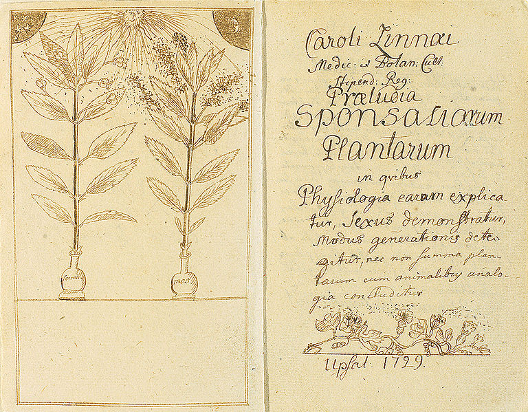 9. kép Linné ifjúkori kéziratának címlapja